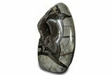 Free-Standing, Polished Septarian Geode - Black Crystals #302879-2